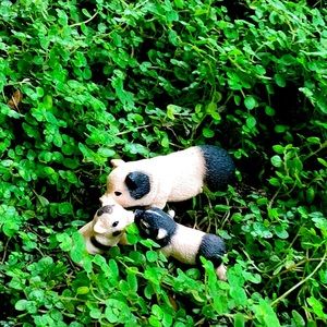 Meet your Posher, Suzy